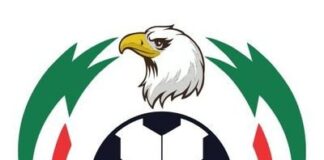 Top 4, Bottom 4: Breaking down the NPFL 2024–25 final table Nigerian Professional Football League official logo