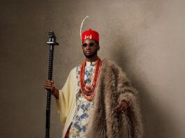 Chimezie Imo at the AMVCA11 Cultural Night