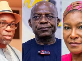 Gov Otti, senators Kingibe, Nwokocha