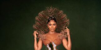 AMVCA2025: Creative and innovative designs that referenced nature on the Awards’ Night AMVCA 2025 Awards Night was filled with celebrities who wore dresses of creative and innovative designs.