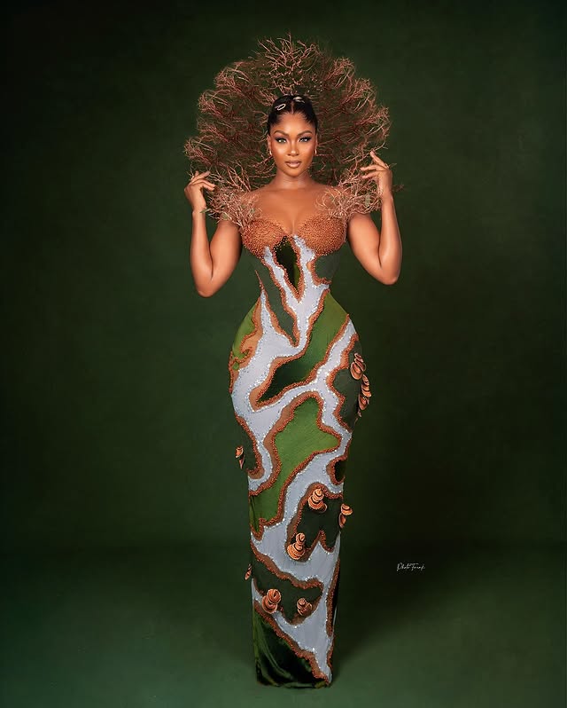 AMVCA 2025 Awards Night was filled with celebrities who wore dresses of creative and innovative designs.