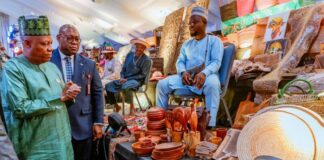 Tinubu urges Africa to embrace eco-tourism, leverage tech for growth