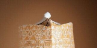 Tinubu appoints Ismael Ahmed as chairman of PCNGi Ismael Ahmed