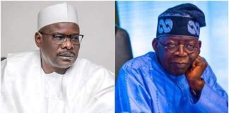 Ndume expresses doubts over Tinubu’s re-election endorsement