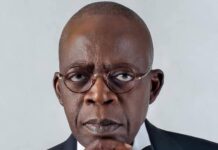 Tinubu declares Nigeria’s unity ‘unshakable’, says economy has turned corner President Bola Ahmed Tinubu