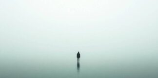 Loneliness linked to over 871,000 deaths annually – WHO Loneliness