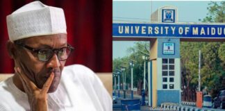 Tinubu renames UNIMAID after Buhari
