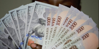 Naira gains sharply in official market as dollar weakens globally
