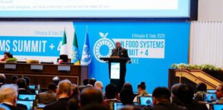 Nigeria deploys AI climate tool to boost food security