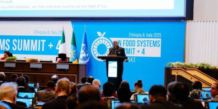 Nigeria deploys AI climate tool to boost food security Nigeria deploys AI climate tool to boost food security