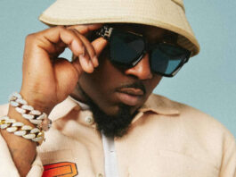Ice Prince