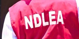 NDLEA busts international drug syndicate, seizes ₦5.3bn in cocaine NDLEA