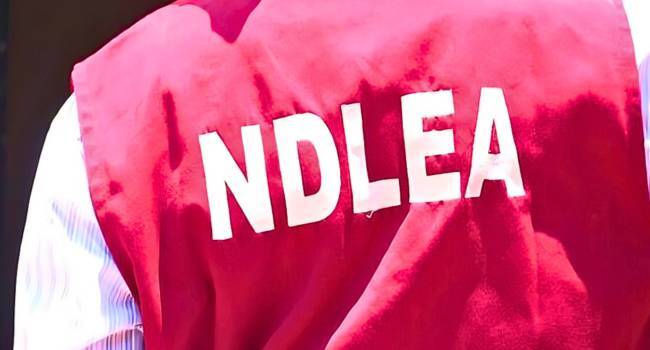 NDLEA NDLEA