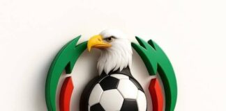 Nigeria league warns clubs off N-Youth participation NPFL crackdown: Nigerian clubs face sanctions for playing in unapproved youth leagues