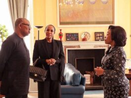 Peter Obi meets commonwealth chief on youth empowerment, democracy