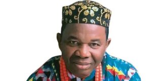 If you don’t work hard, poverty will deal with you even when you pray consistently – Chiwetalu Agu Chiwetalu Agu