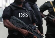 DSS denies arresting Okey Ndibe, explains airport encounter as watch-list clearance