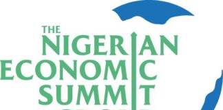 NESG projects Nigeria’s working-age population to hit 168m by 2030