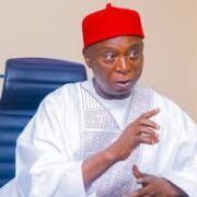 Ned Nwoko