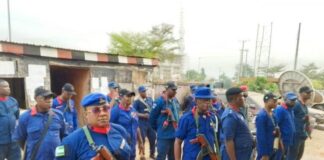 NSCDC arrests three Indian hemp dealers, hands over suspects to NDLEA in Kano NSCDC officials