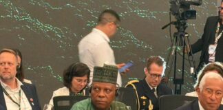 Nigeria demands global finance boost at COP30 to restore nature’s value Nigeria’s Vice President Kasim Shettima