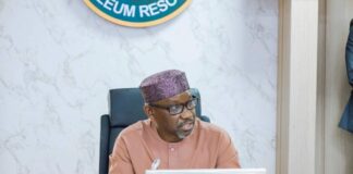 Nigeria, Africa must define own path to clean energy — Minister