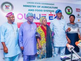 Lagos State Government