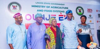 Lagos govt launches phase II of Ounje Eko Farmers’ subsidy programme Lagos State Government