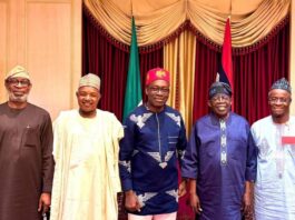 Charles Soludo, Dele Alake, Bola Tinubu and others (CREDIT: Facebook