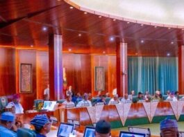 Federal Executive Council