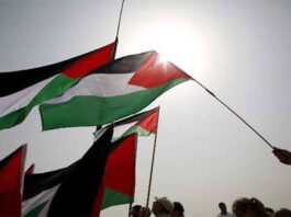 palestinian flag