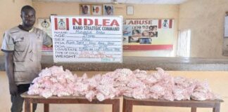 NDLEA seizes 7.6m tramadol pills, 76,273kg of cannabis in nationwide raids
