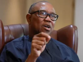 Youth Unemployment in Nigeria – Peter Obi