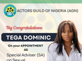 AGN appoints Tega Dominic