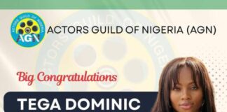 AGN appoints Tega Dominic as SA on sexual harassment AGN appoints Tega Dominic