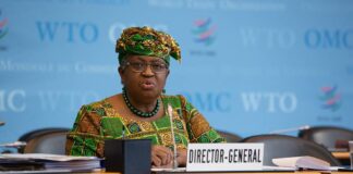 Nigeria can capture global supply chains, says WTO DG Okonjo-Iweala DG Okonjo-Iweala