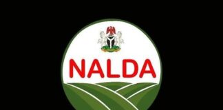 FG raises NALDA allocation to N25bn in 2026 budget