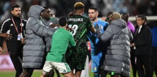 CAF sanctions Algeria after misconduct in AFCON loss to Nigeria Nigeria match misconduct leads to heavy CAF sanctions for Algeria