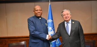 UN backs Nigeria’s leadership in new global order UN António Guterres and Vice President Kashim Shettima