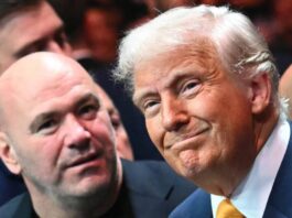 The White House is preparing to host a big UFC event.