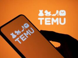 NDPC probes Temu over alleged breach of 12.7m Nigerians’ data Temu