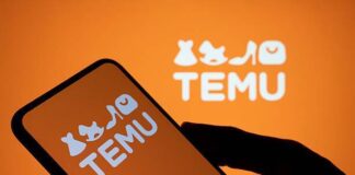 NDPC probes Temu over alleged breach of 12.7m Nigerians’ data Temu