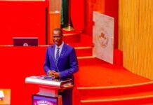 Senate confirms Taiwo Oyedele as minister Taiwo Oyedele