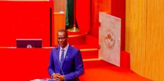 Senate confirms Taiwo Oyedele as minister Taiwo Oyedele