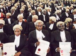 FULL LIST: Council for Legal Education names 114 universities approved to admit law students in Nigeria