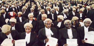 FULL LIST: Council for Legal Education names 114 universities approved to admit law students in Nigeria