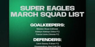 Osimhen omitted as Chelle names 23-man Super Eagles squad for Iran, Jordan friendlies Super Eagles: Three debutants earn first call-ups