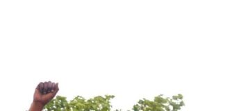 2027: Tuggar unveils Bauchi guber bid, promises economic reform, workers’ welfare Yusuf Tuggar