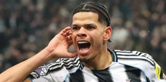 NFF moves to snatch Newcastle striker Osula from Denmark Denmark fears Nigeria's poach as Osula mulls Eagles call
