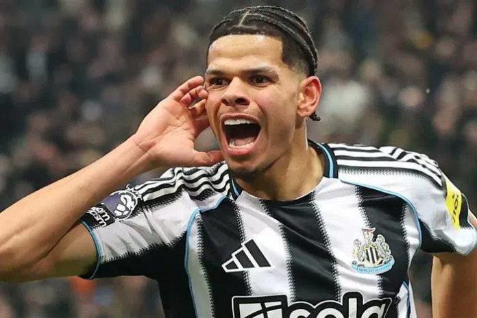 NFF moves to snatch Newcastle striker Osula from Denmark Denmark fears Nigeria's poach as Osula mulls Eagles call